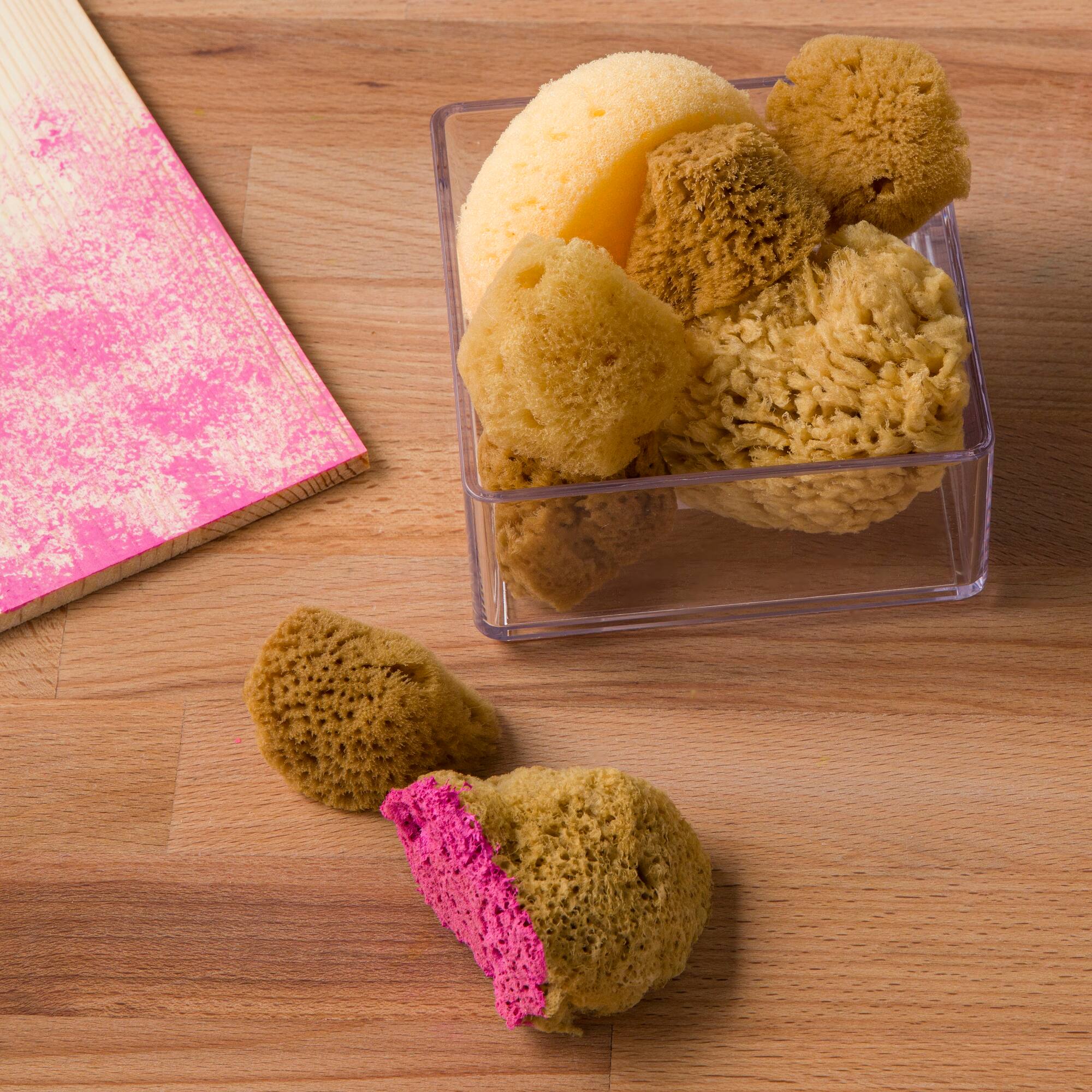 Variety Sponge Value Pack by Craft Smart®